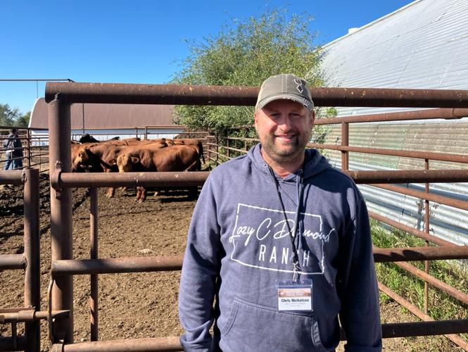 Lazy C Diamond Ranch