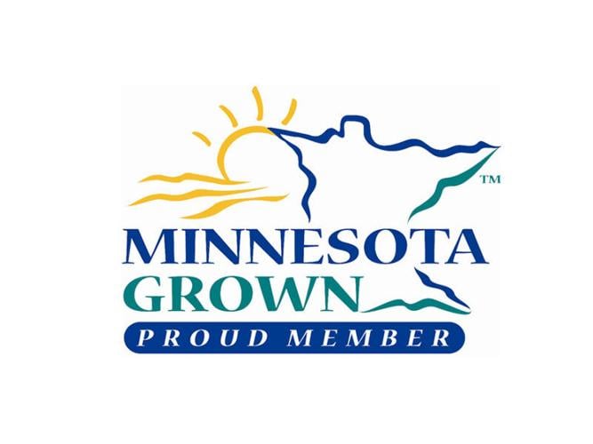 Mn Grown Logo