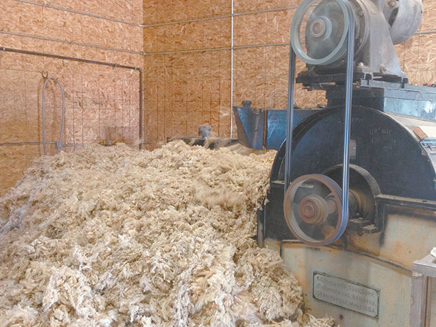 wool ready to process