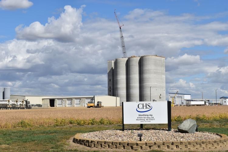 Harvest 2024 Update (7).JPG