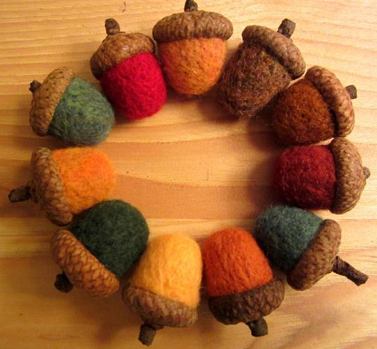 Acorns