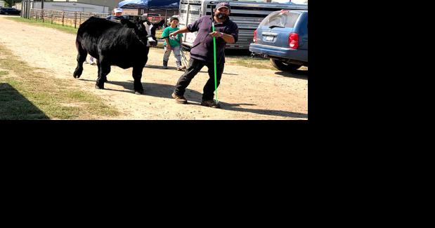 Highlighting agriculture: Ag industry central to the South Dakota State Fair - Vimarsana News