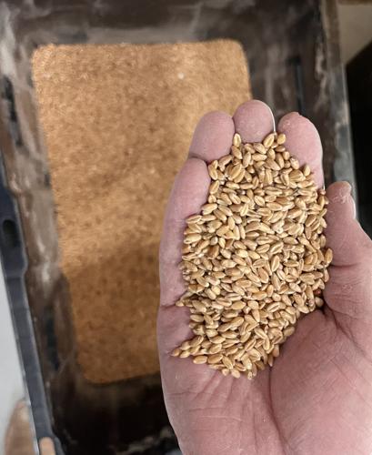 Niobrara Grain and Milling 5.jpg
