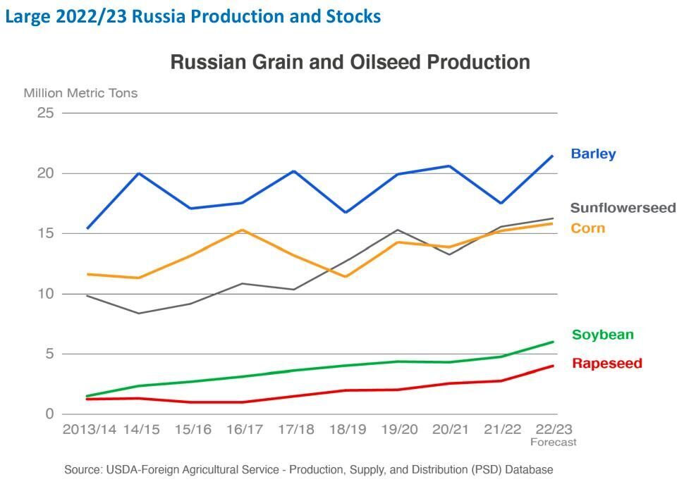 Russian Grain and Oilseed Production