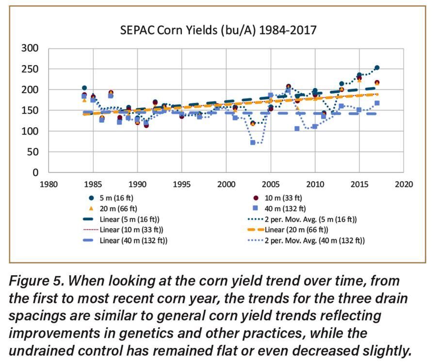 Corn yields