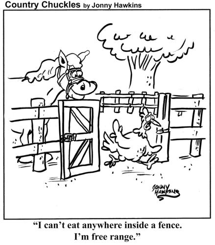 Country Chuckles by Jonny Hawkins