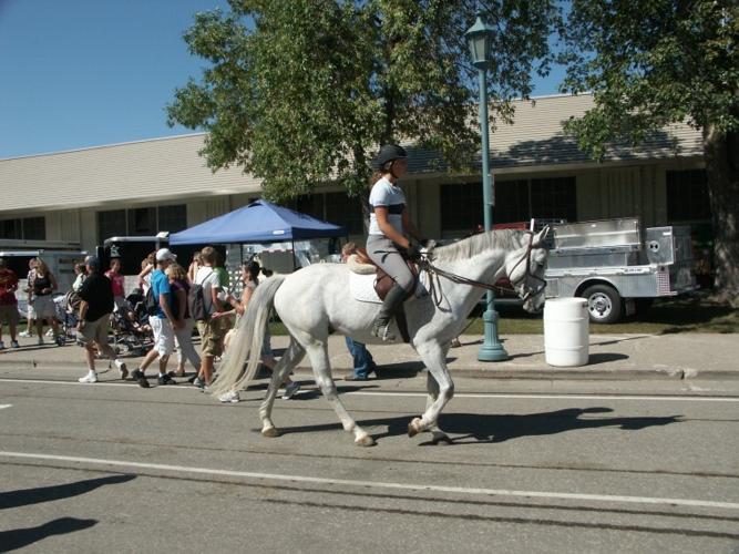 Minnesota State Fair is great place to see lots of horses