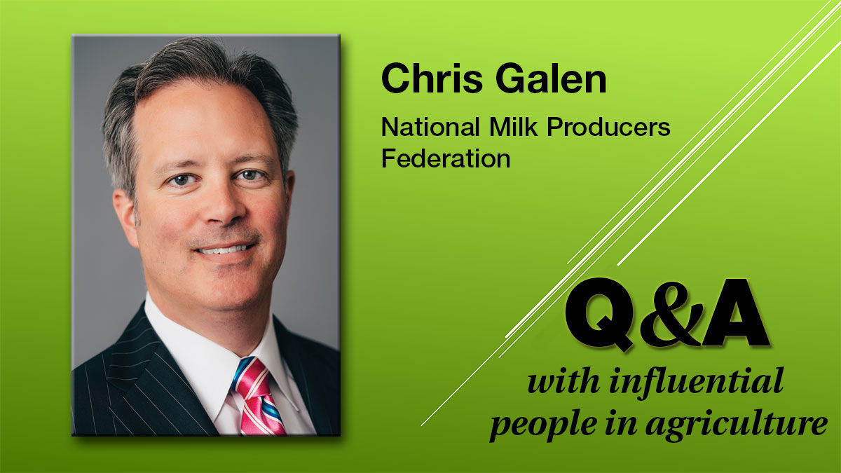 Q & A Chris Galen
