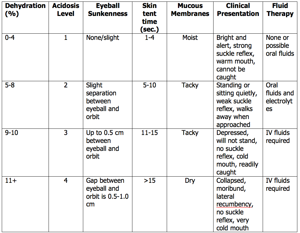 calve scours table