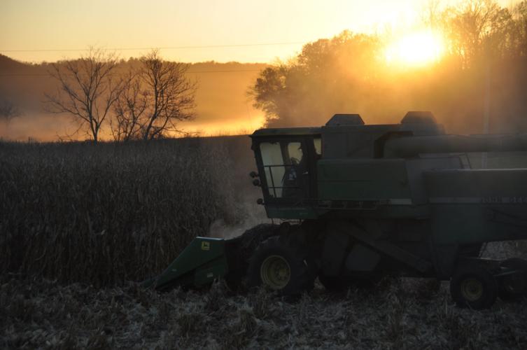 Sun sets behind combine