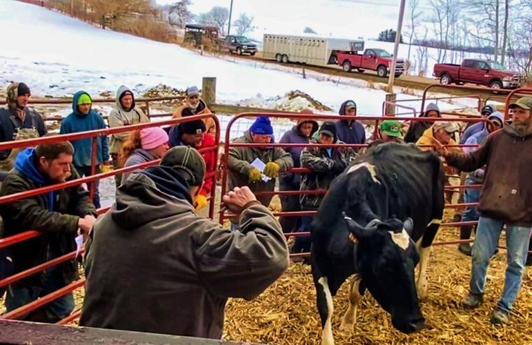 Winter dairy auction