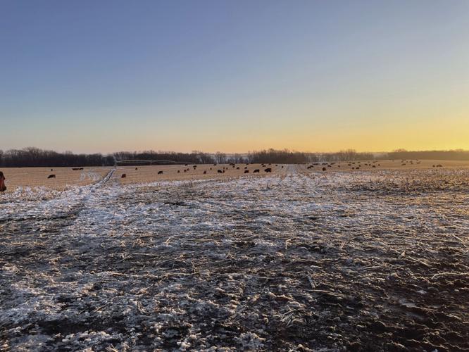 Marketing class 1.JPG