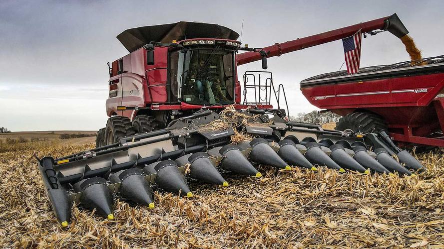 Geringhoff corn head
