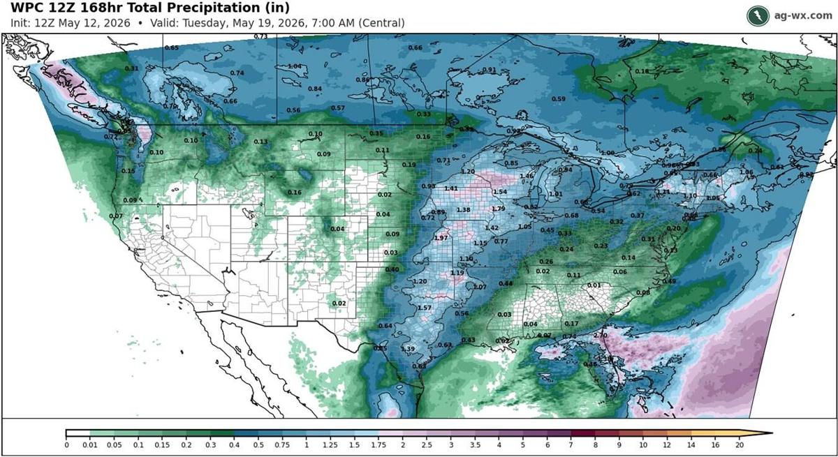 Precip