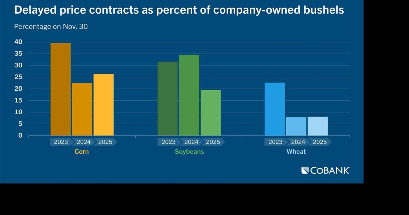 Contracts