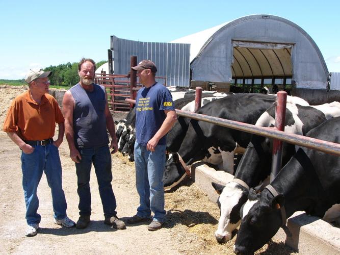 Farm team with cattle