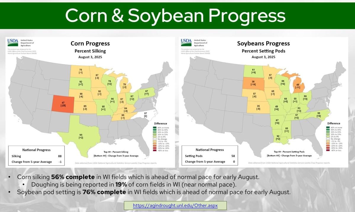 Corn, soybean progress