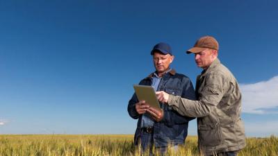 Financial conversations key when it comes to farm transitions