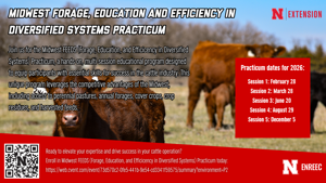 Midwest FEEDS flyer - 1