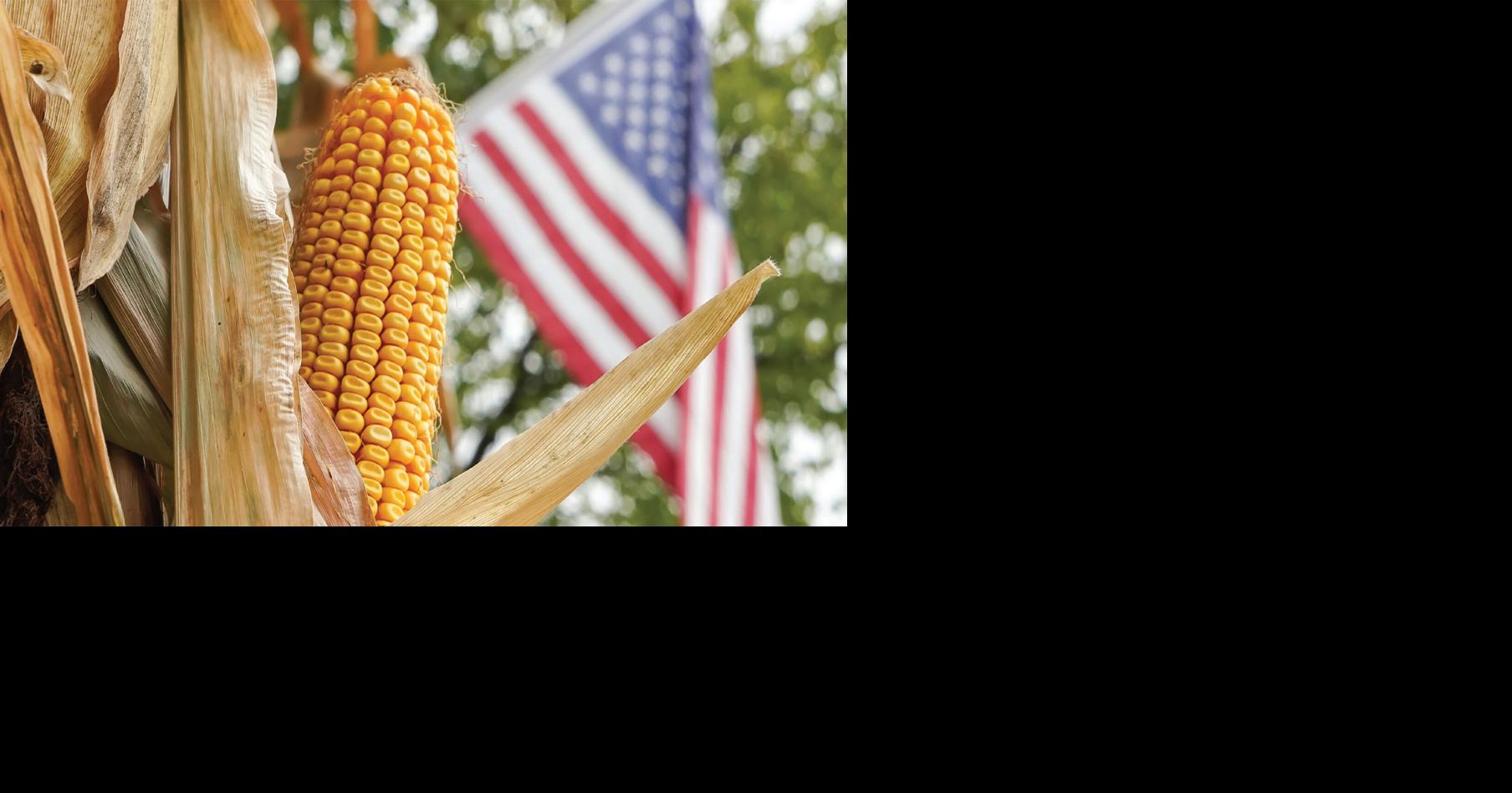 Critical crops more at risk than ever