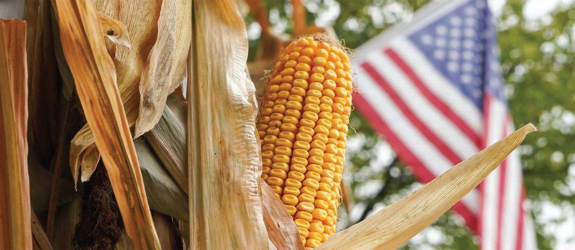 Corn and flag