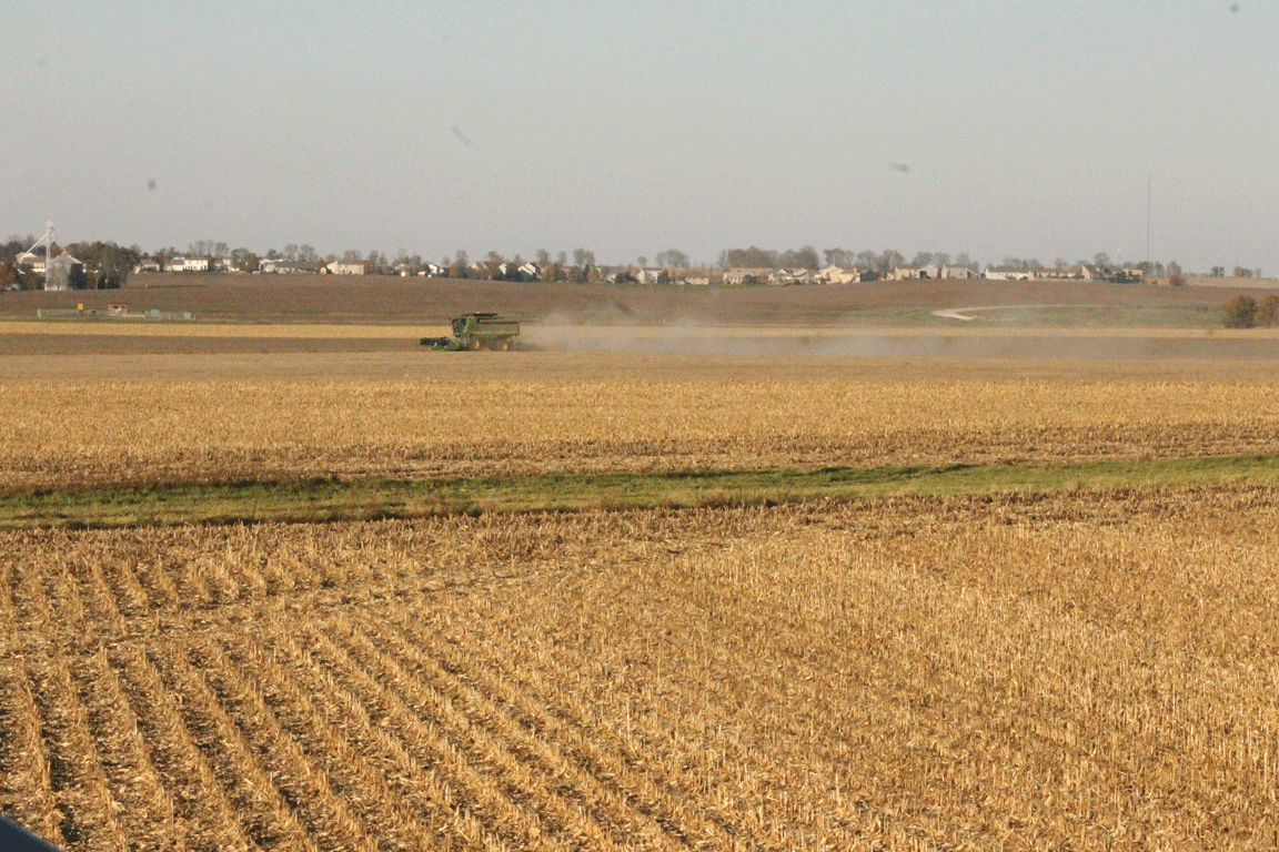 rural scene corn field