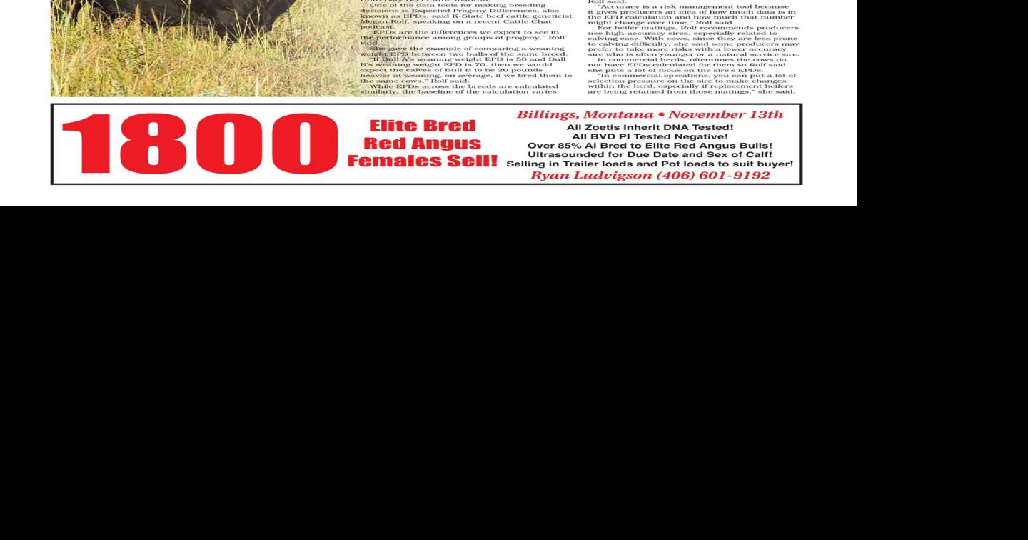 Livestock Roundup 8423