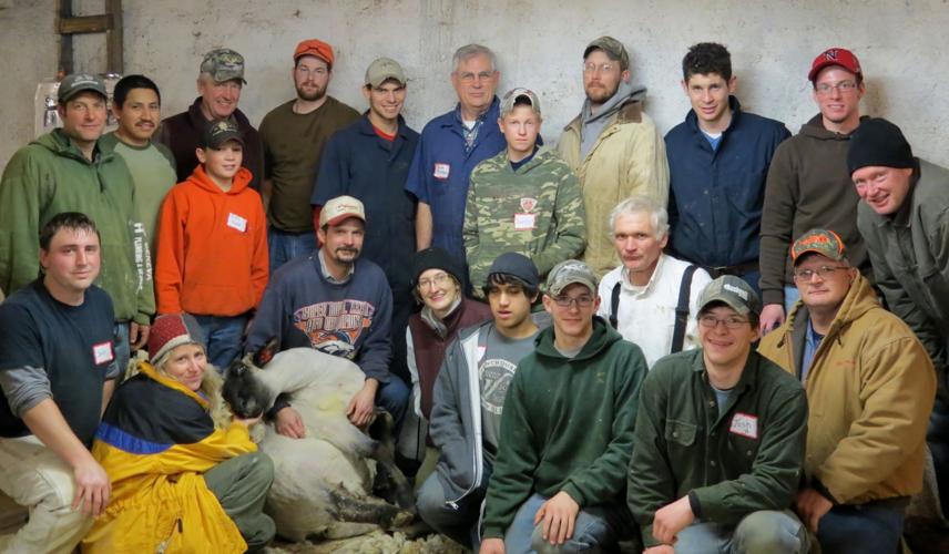 Thomas assists with shearing school
