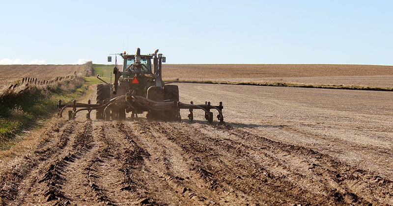 Manure nutrient content depends on many factors