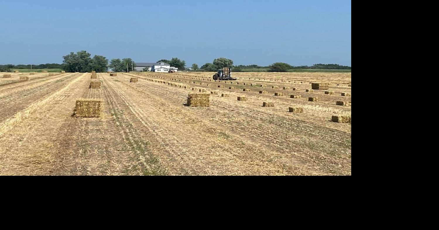 Producers balance equipment, quality, yield for hay profit