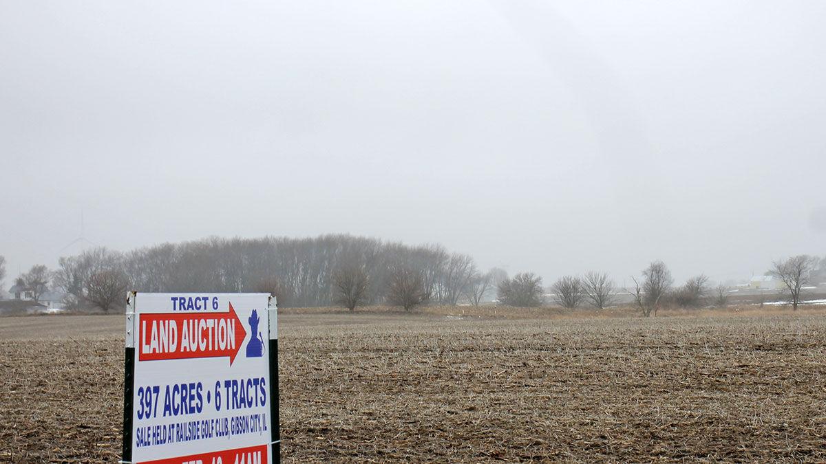 Land for sale sign at edge of field