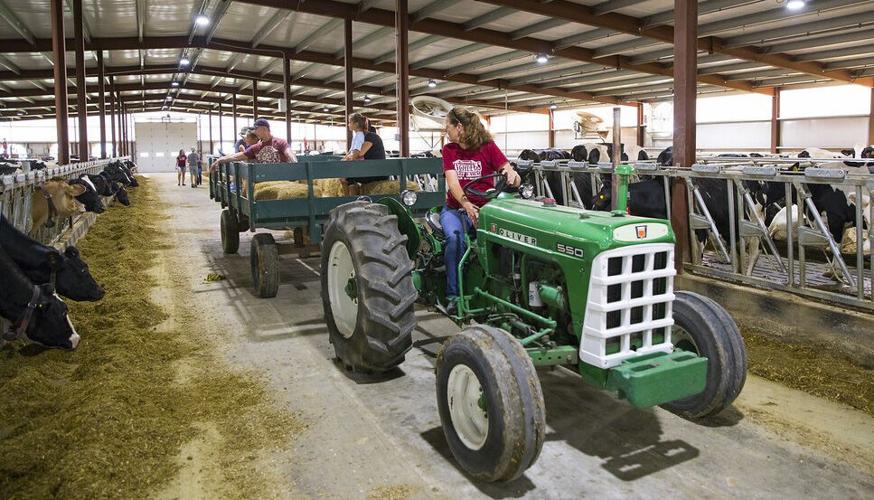 Tina Hinchley taking farm-tour attendees through barn