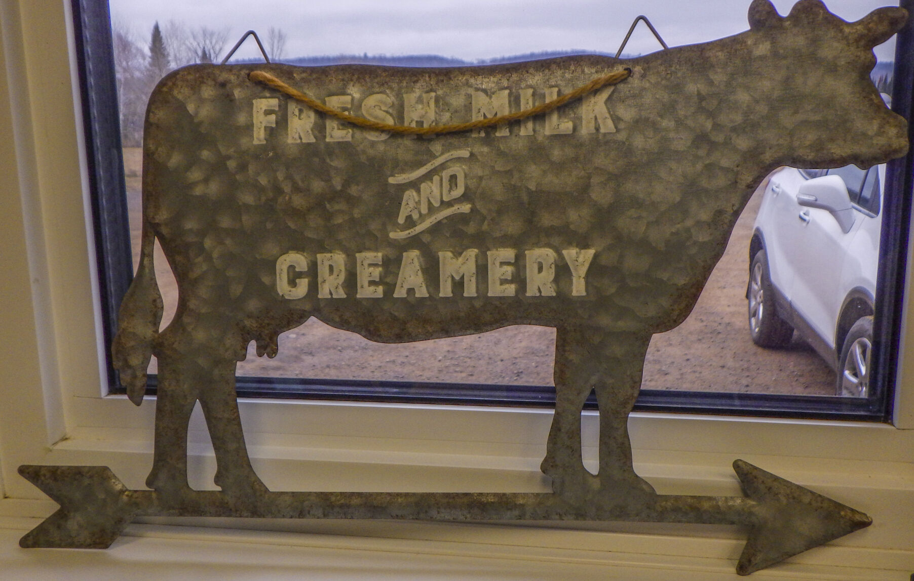 Tin cow