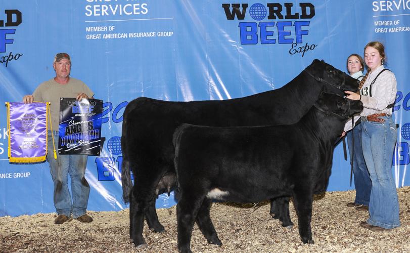Grand champion Angus cow-calf pair at 2023 World Beef Expo