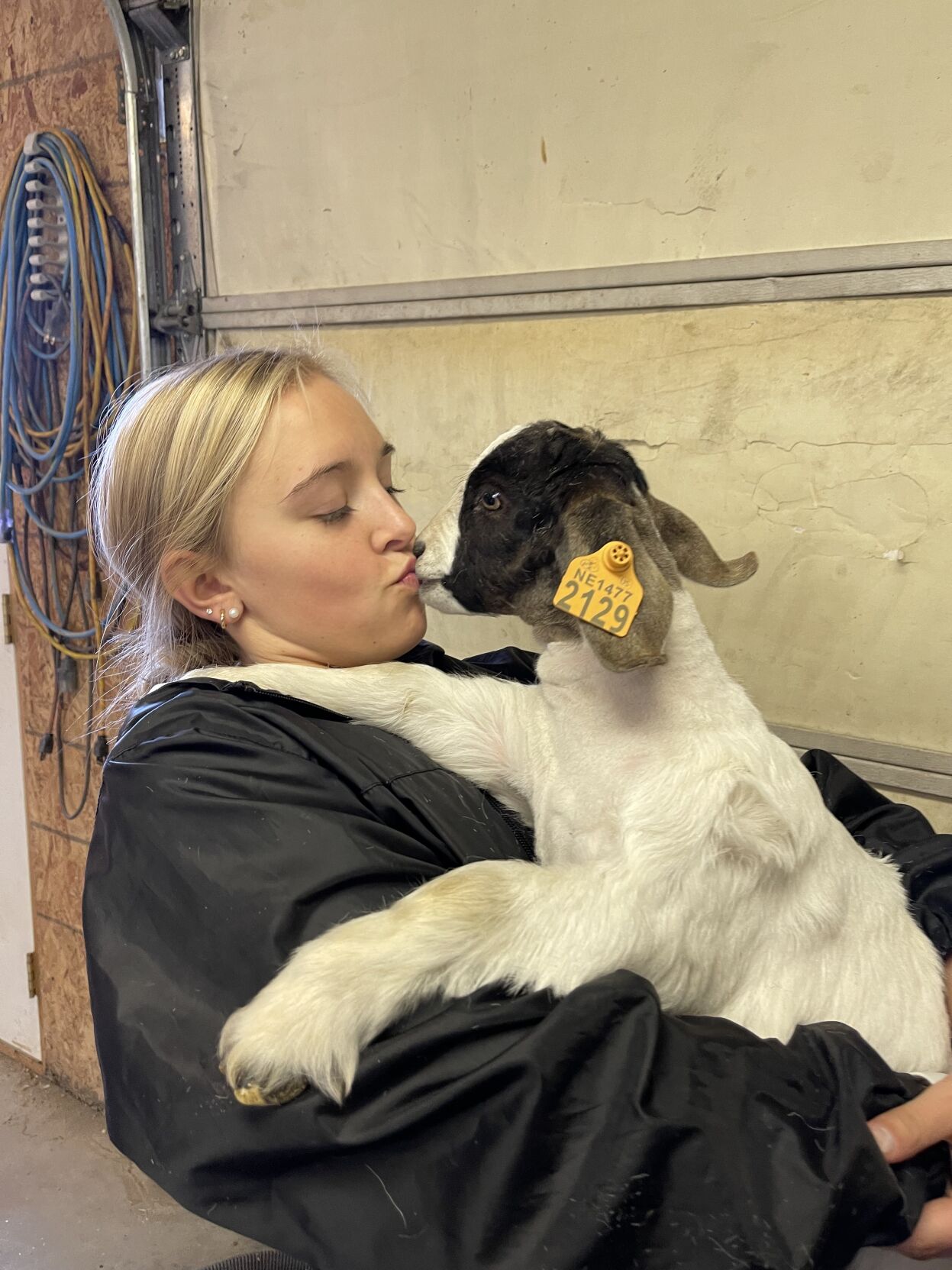 4-H goat 5.jpg