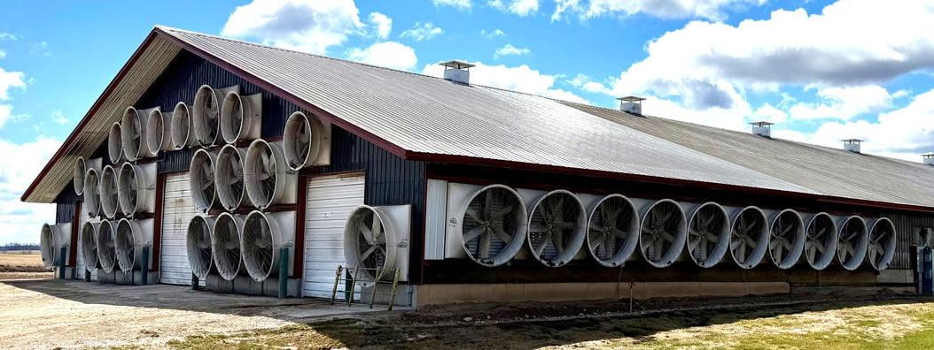 Ventilation barn