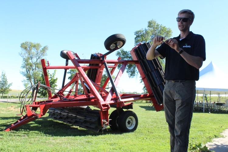 Blue Dasher field day (96).JPG