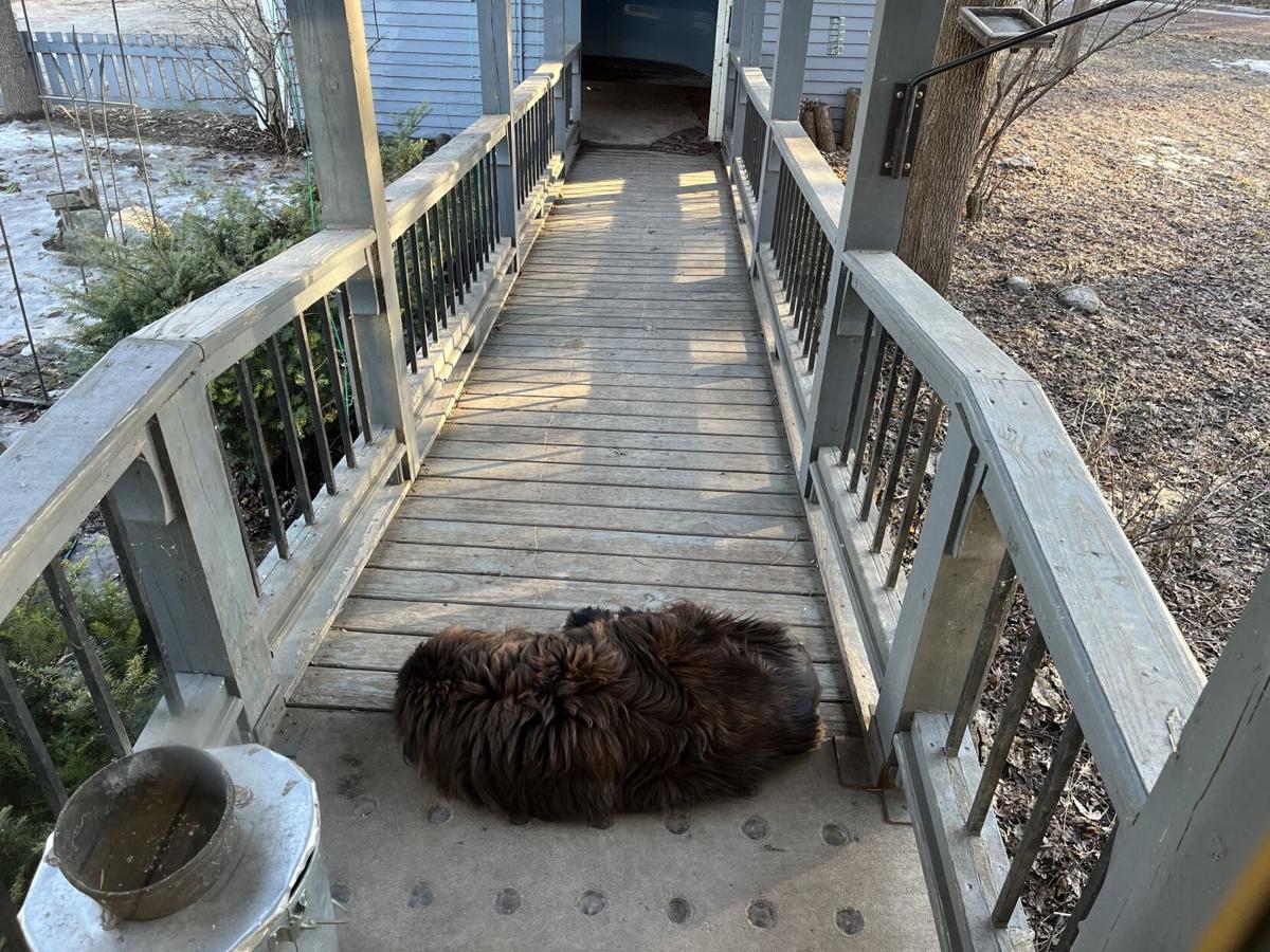 Independently Speaking