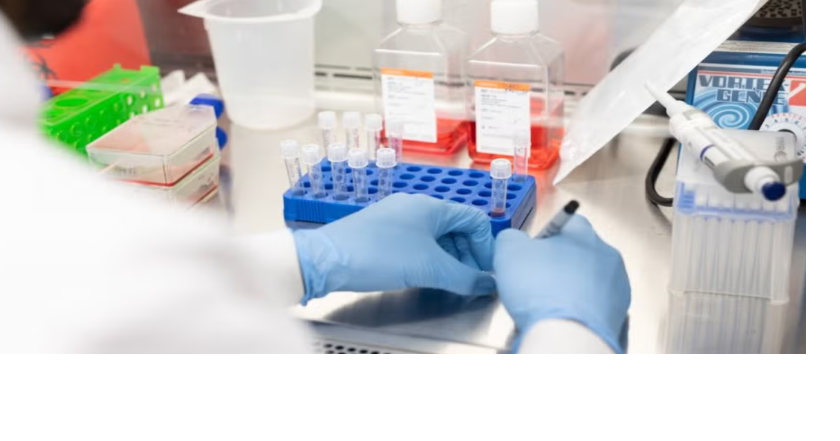 Researchers in lab