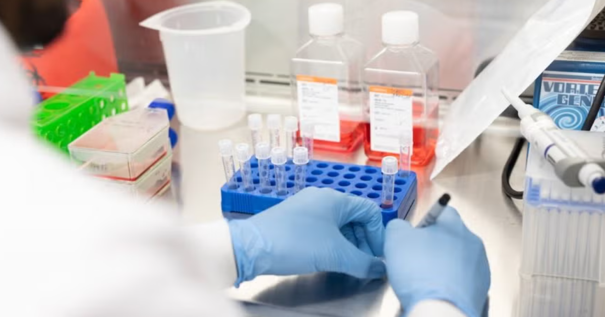 Researchers in lab