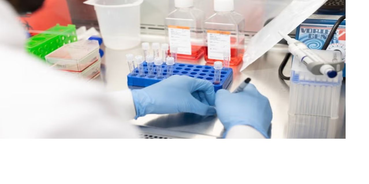 Researchers in lab