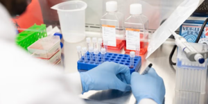 Researchers develop vaccine for destructive poultry virus