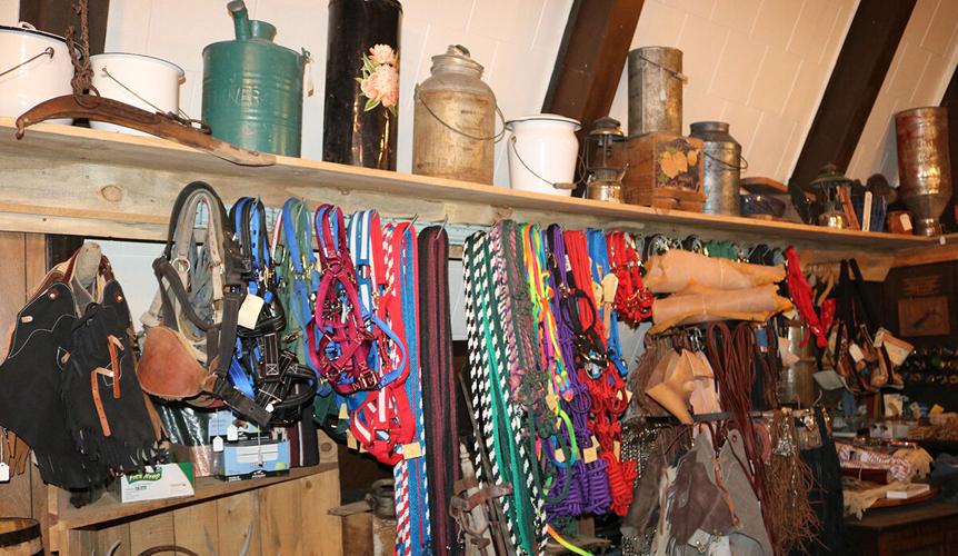 Village Barn (3).JPG