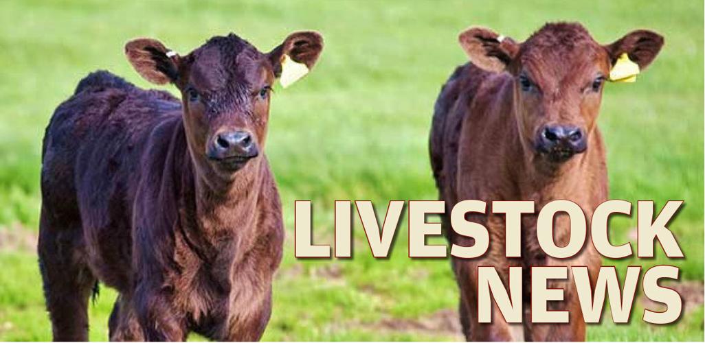 Livestock News logo 2