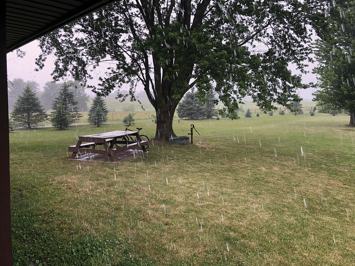 rain