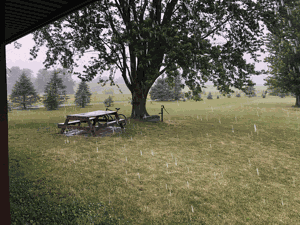 rain