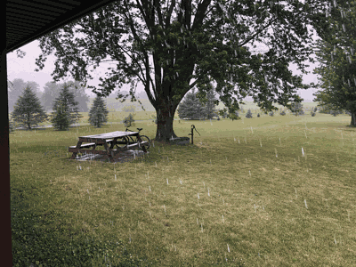 rain