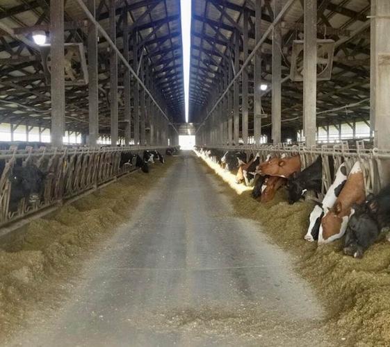 Fun mornings planned for two Minnesota Breakfasts on the Farm
