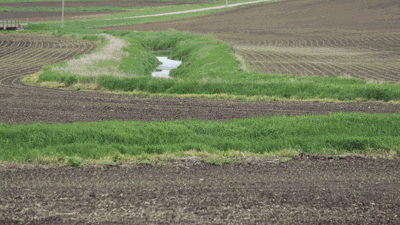 grass waterway