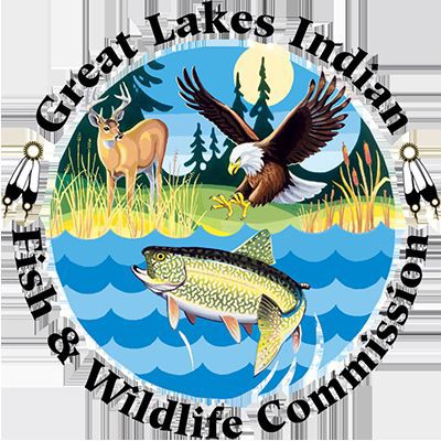 Tribal spearfishing starts in Wisconsin; harassment won't be tolerated